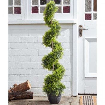 Topiary Twirl - Cypress - 120cm #55605005