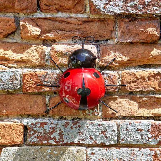 Hanger On - Large Ladybird x 1 #5032001
