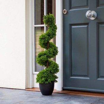 Topiary Twirl - Boxwood - 90cm #5045088