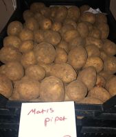 Maris Piper Seed Potatoes - 1kg
