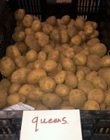 Queen's Seed Potatoes - 1kg