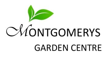 Logo.jpeg