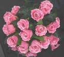 Silk Dew Drop Rose Bush 24 Head Pale Pink #TN110089