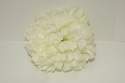 Silk Carnation Heads Cream Pack Of 48