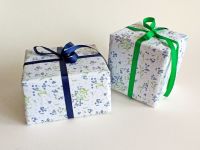 Forget-Me-Not gift wrap