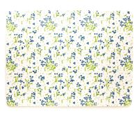 Forget-Me-Not place mats