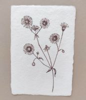 Fleabane - original artwork on handmade paper
