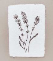 Lavender - original artwork on handmade paper