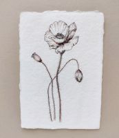Poppy - original artwork on handmade paper