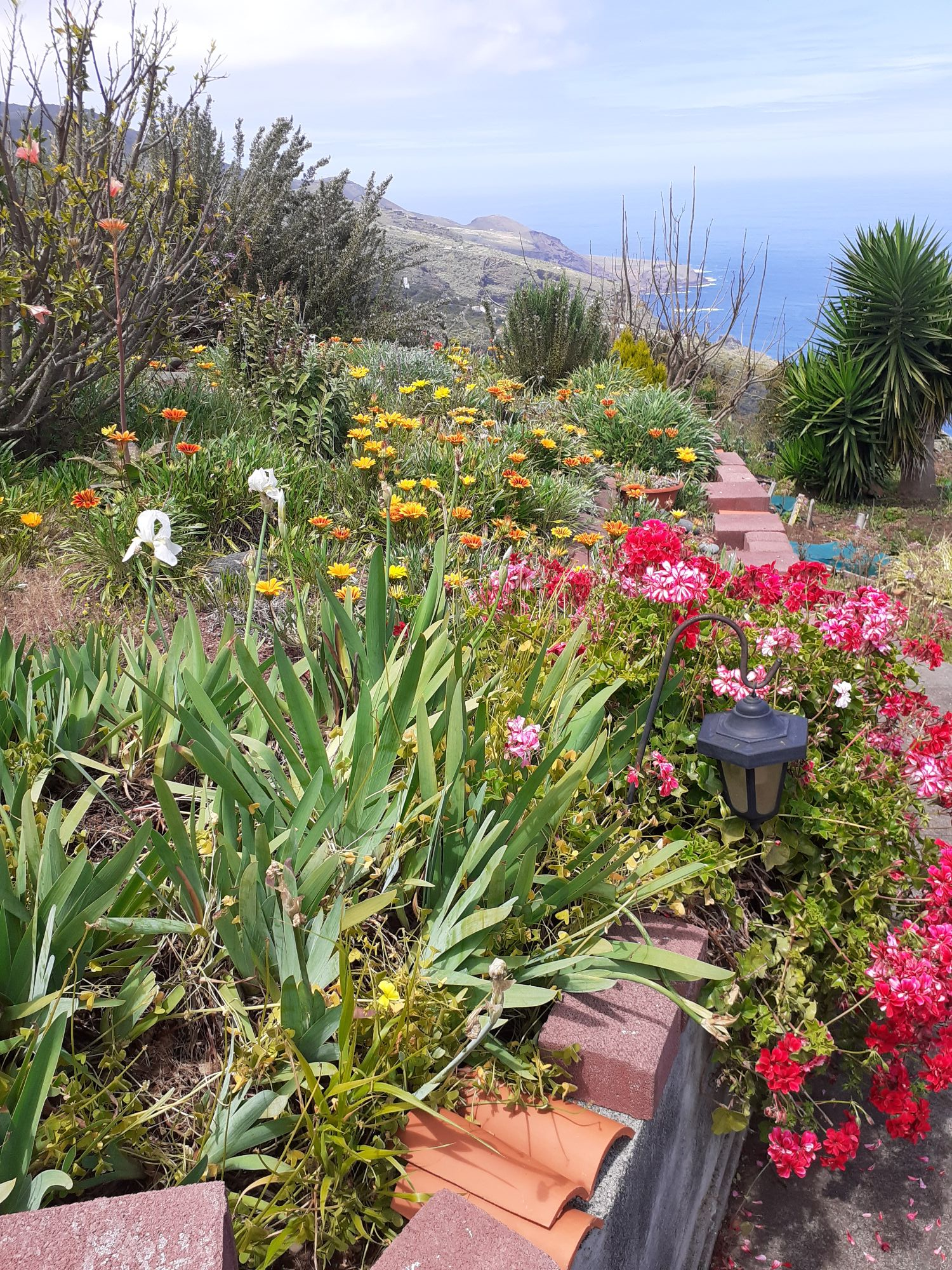 Finca La Palma Canaries, for Sale