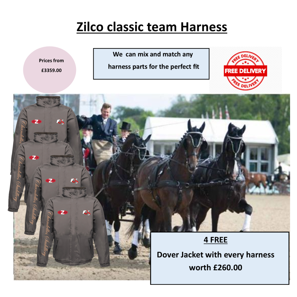 Team Harness Zilco Classic 