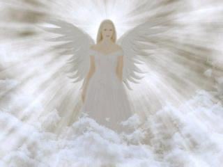 white angel