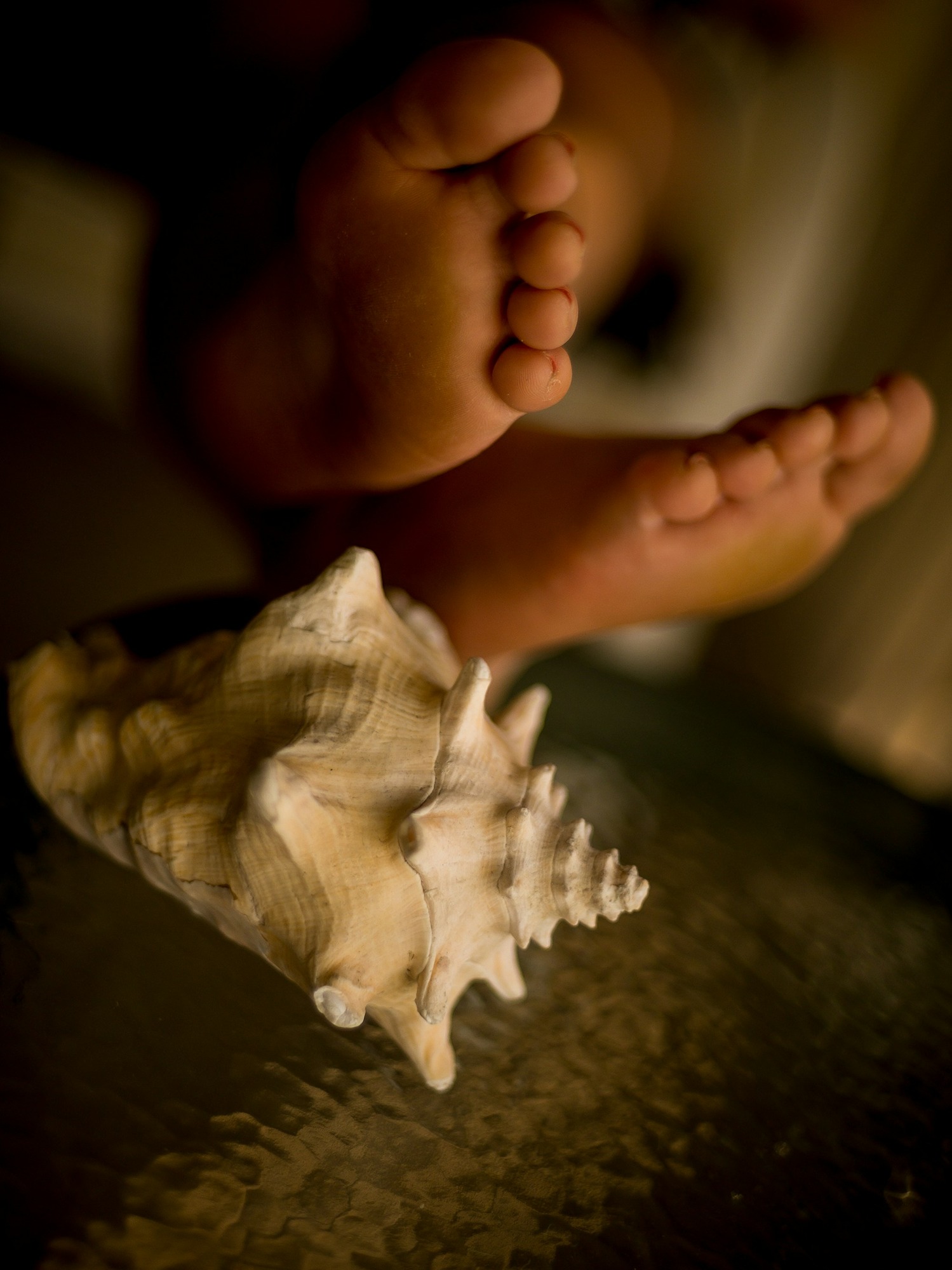 person-holding-white-and-brown-seashell-8UP8E1BKZX4.jpg