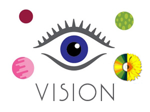 <!-- 004 -->Upgrade Cara system to Vision