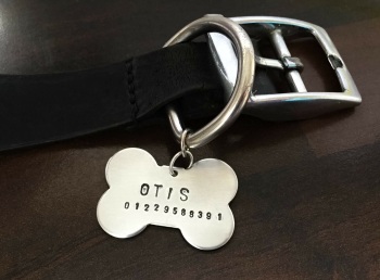 Pet Collar Name Tag