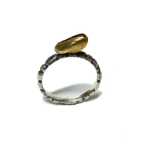 Reef stacking ring - Mussel shell