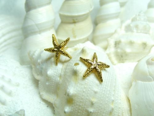 Skinny Little Starfish