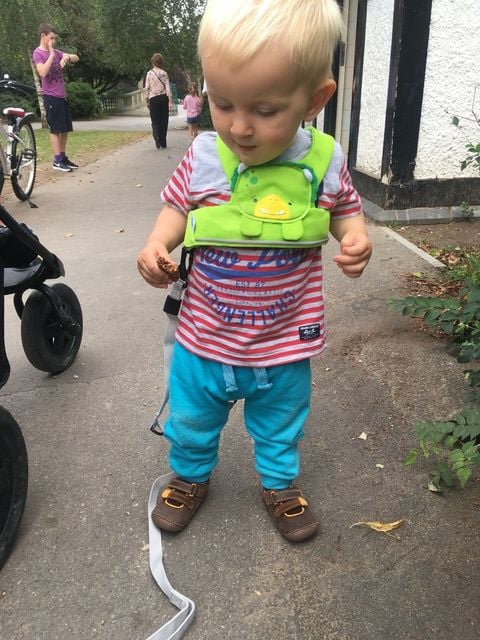 Trunki ToddlePak Review Lylia Rose Blog Dudley Dinosaur Toddler Reins Harne