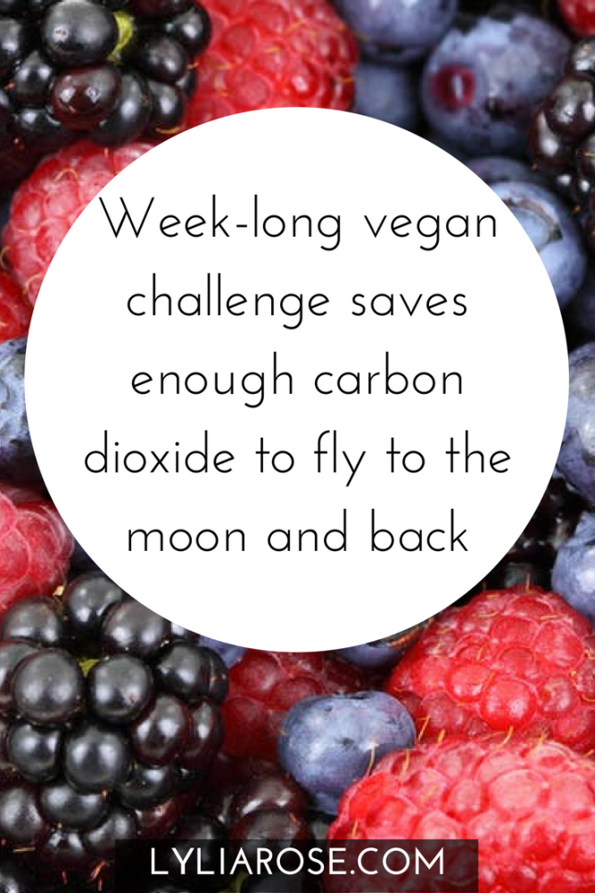 Week-long vegan challenge saves enough carbon dioxide to fly to the moon an