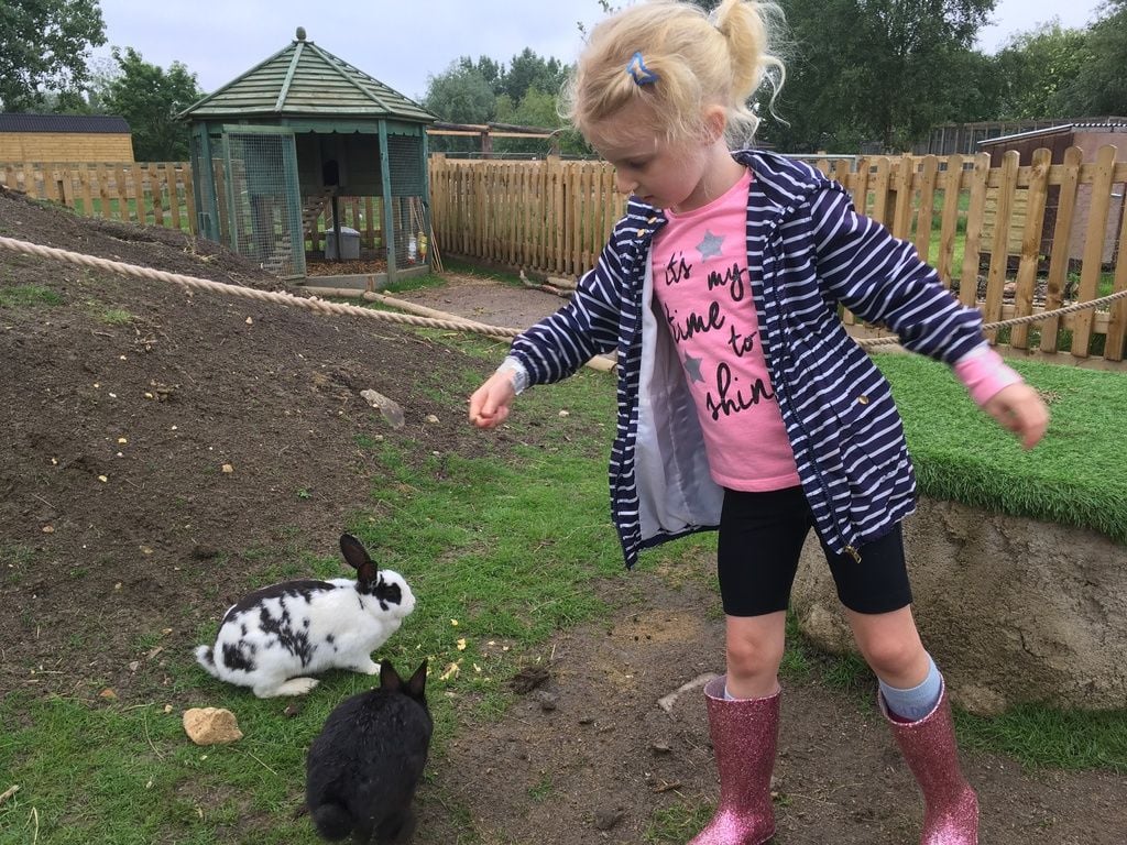 All Things Wild Nature Centre Review &ndash; Family Days Out in the West Midlands