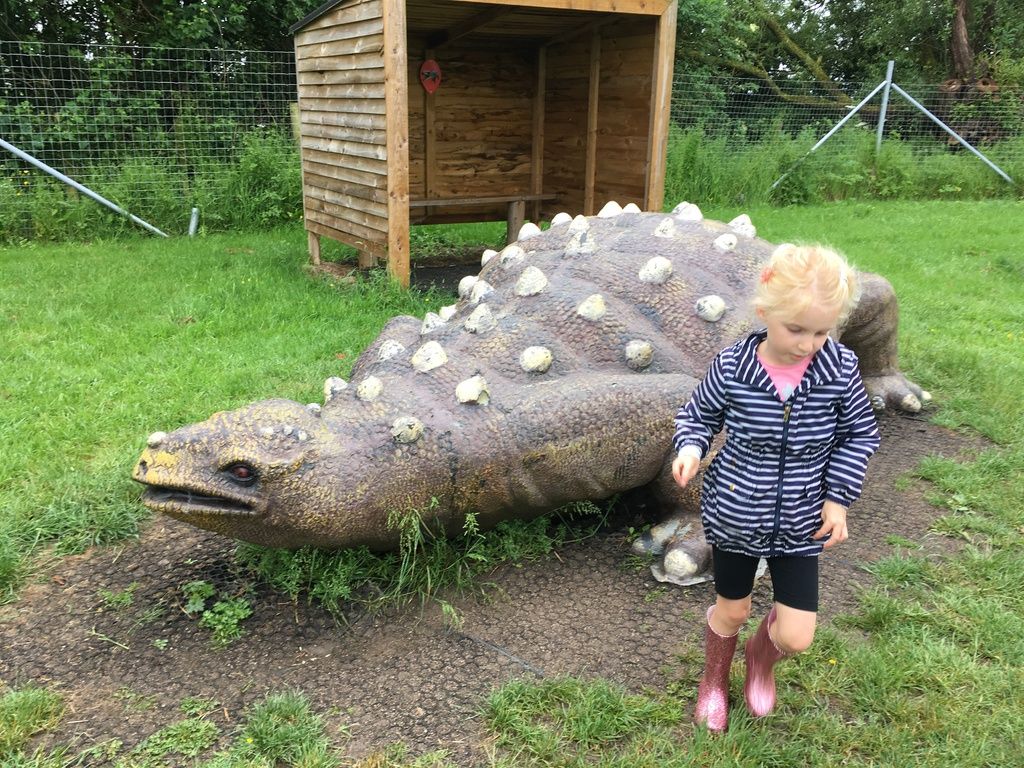 All Things Wild Nature Centre Review &ndash; Family Days Out in the West Midlands