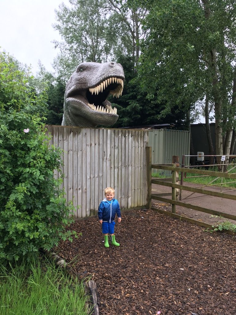 All Things Wild Nature Centre Review &ndash; Family Days Out in the West Midlands