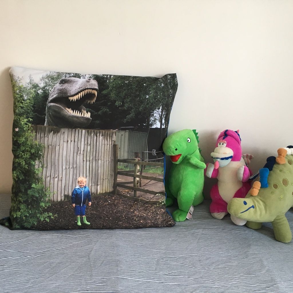 Boys bedroom d&eacute;cor MyPicture personalised photo cushion review dinosaurs