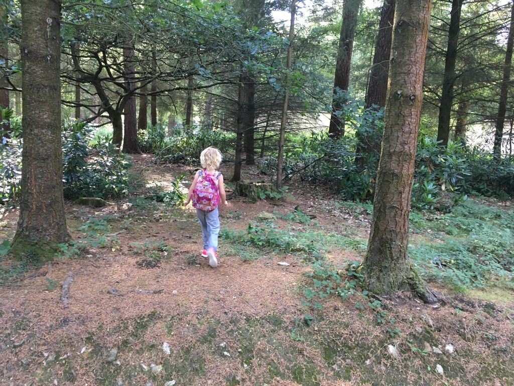 7 free things to do with kids at Center Parcs Longleat - forest walks