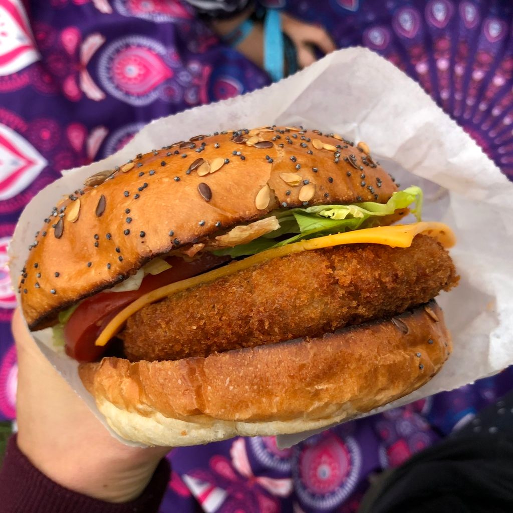 My Very Honest UK Vegan Campout Review&shy; 6