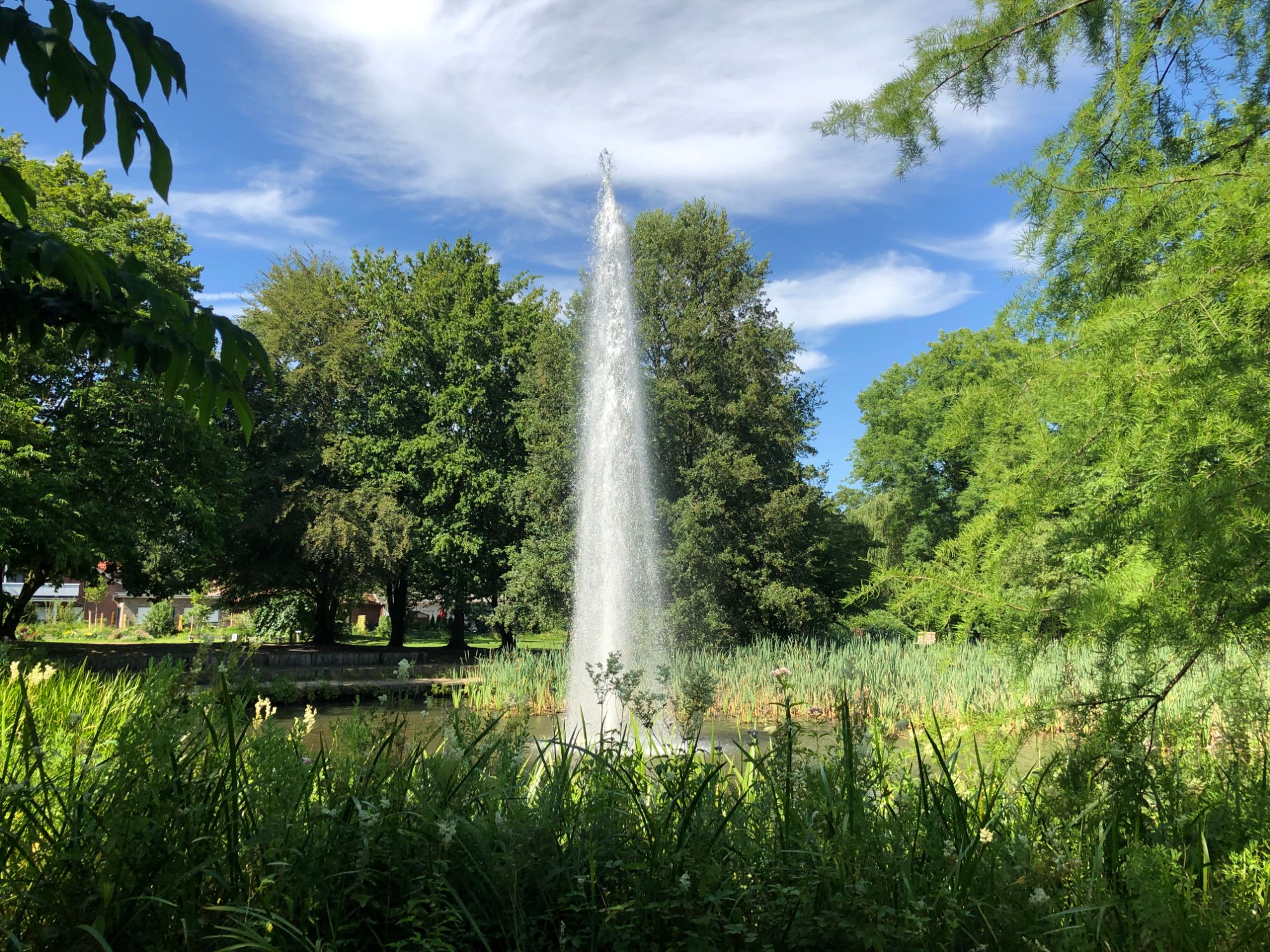 Free stock photo park lake fountain water feature summer