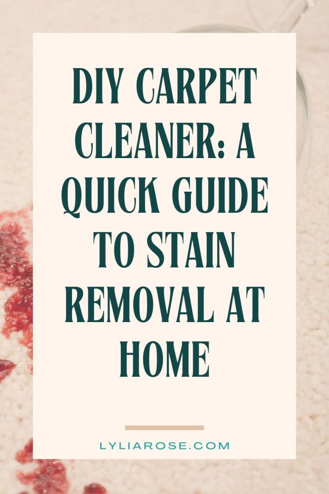 DIY carpet stain remover (5)