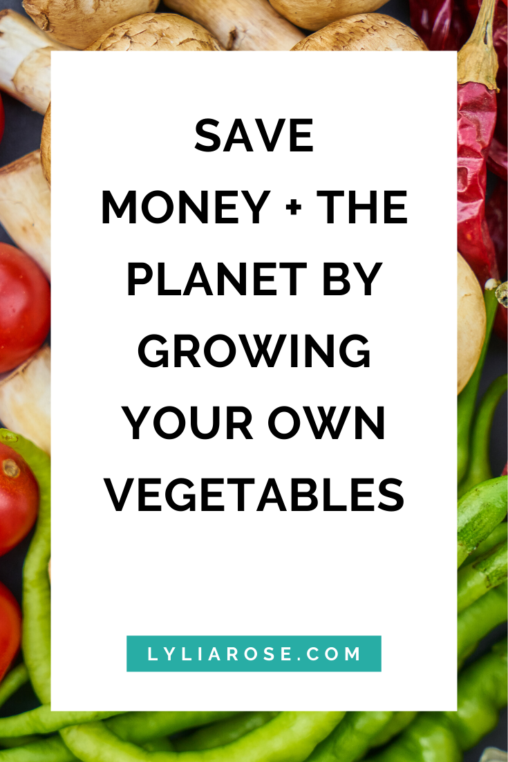 save money + the planet by growing your own vegetables