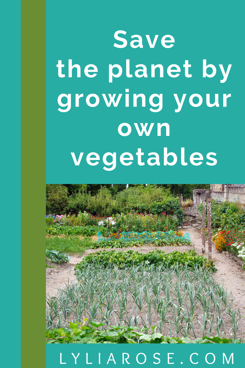 save money + the planet by growing your own vegetables (1)