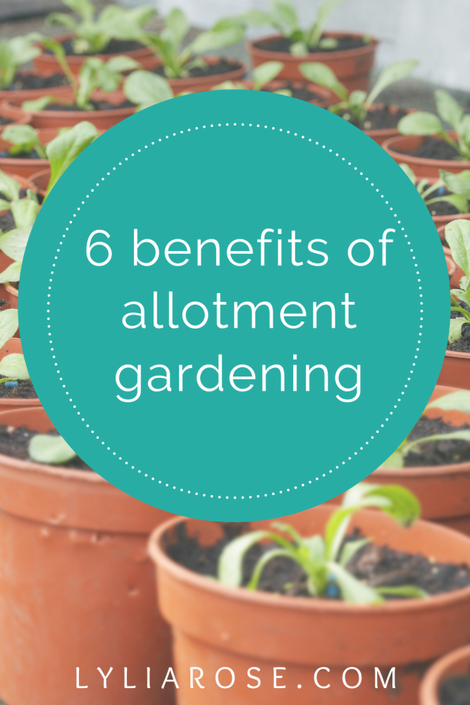 6 benefits of allotment gardening (2)