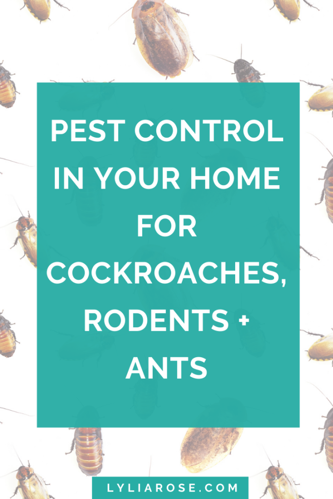 Pest control in your home for cockroaches, rodents + ants