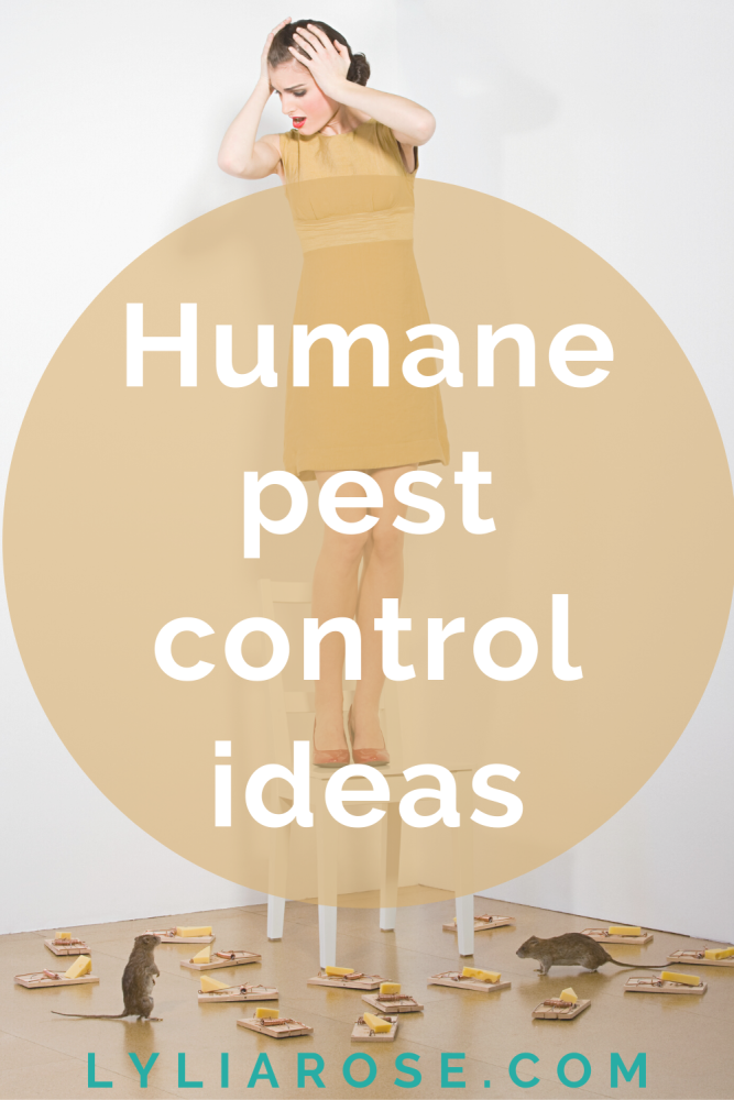 Humane pest control ideas