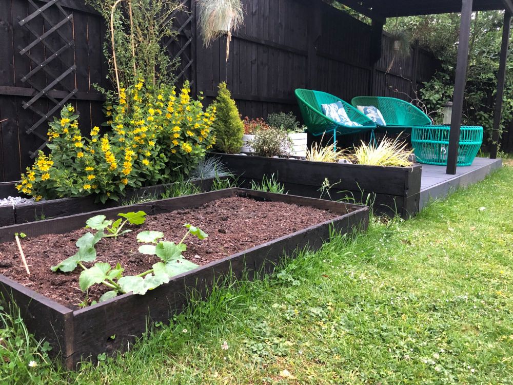 how to transform a garden on a budget