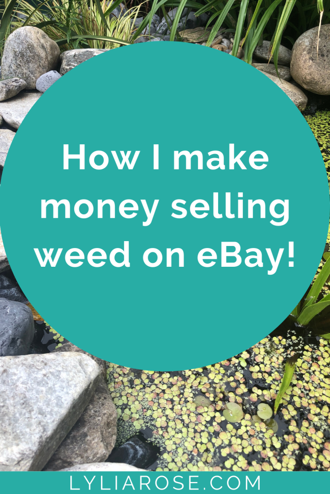 How I make money selling weed on eBay!