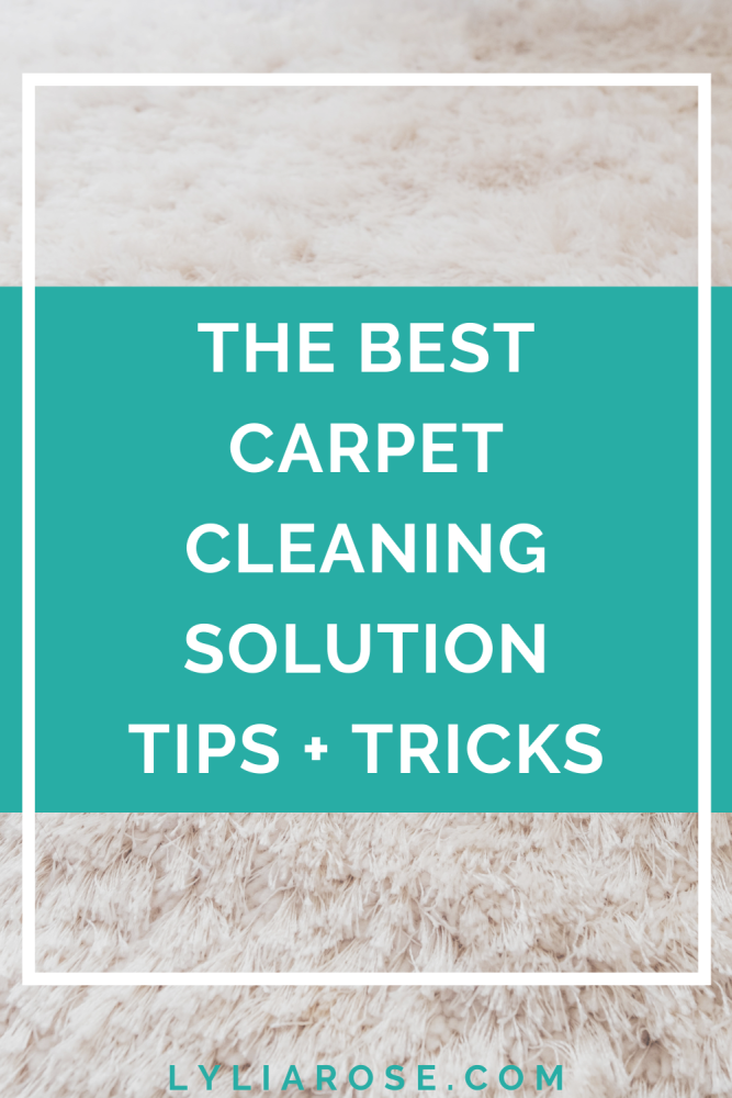 carpet cleaning tips