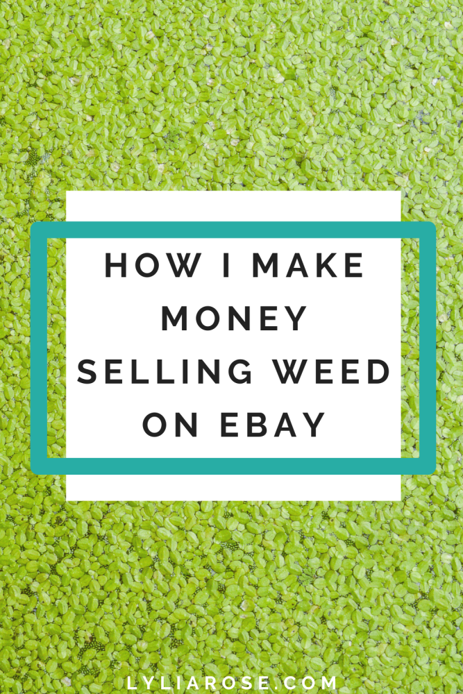 How I make money selling weed on eBay