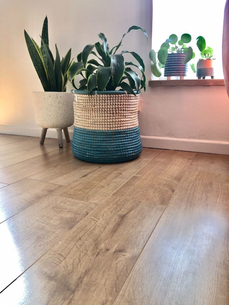 hard flooring in oak colour with houseplants in baskets and pots with light shining through the window