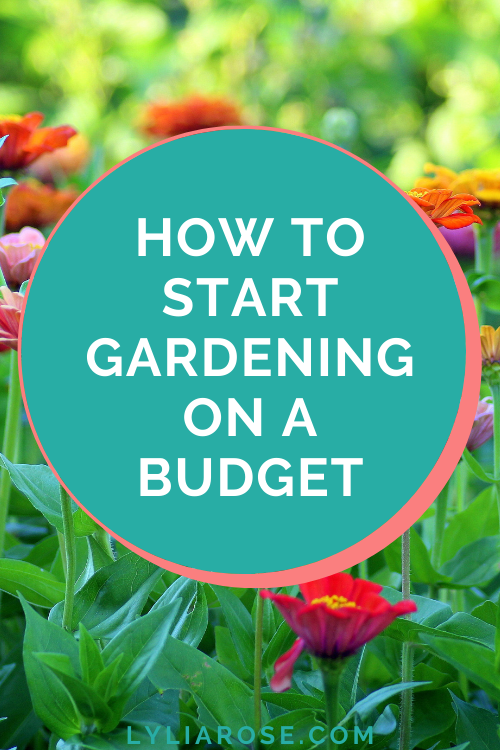 How to start gardening on a budget