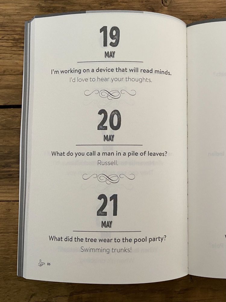 a dad joke a day book