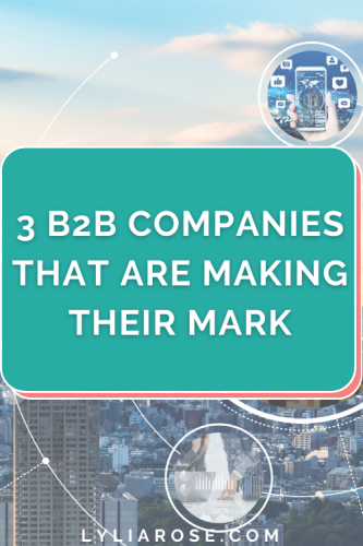 3 B2B companies that are making their mark