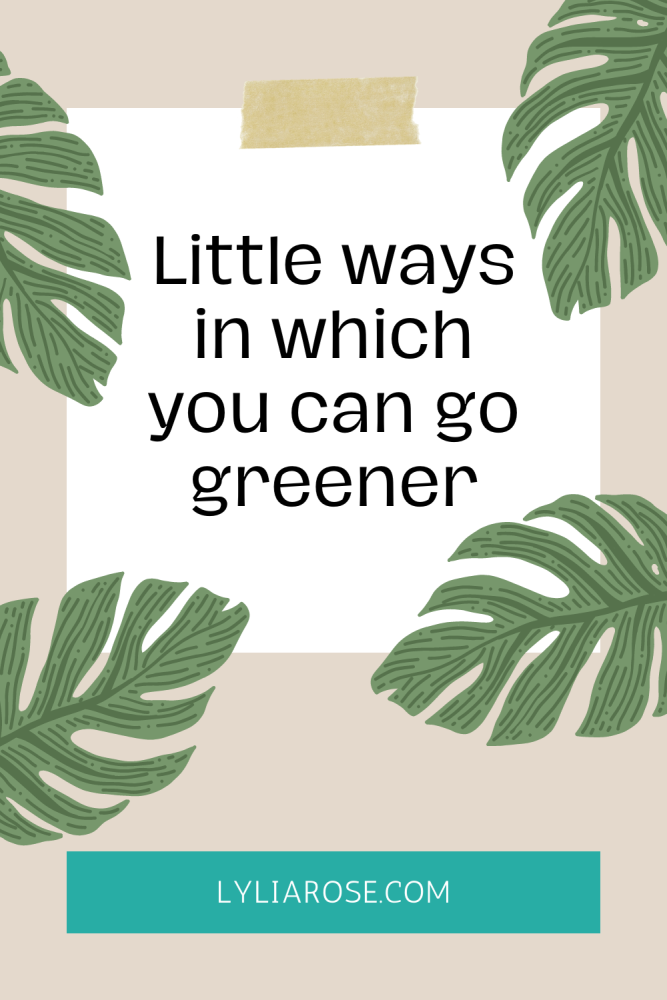 Little ways in which you can go greener