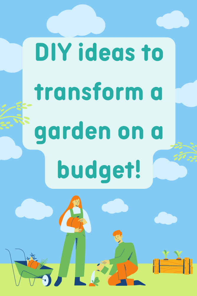 DIY ideas to transform a garden on a budget