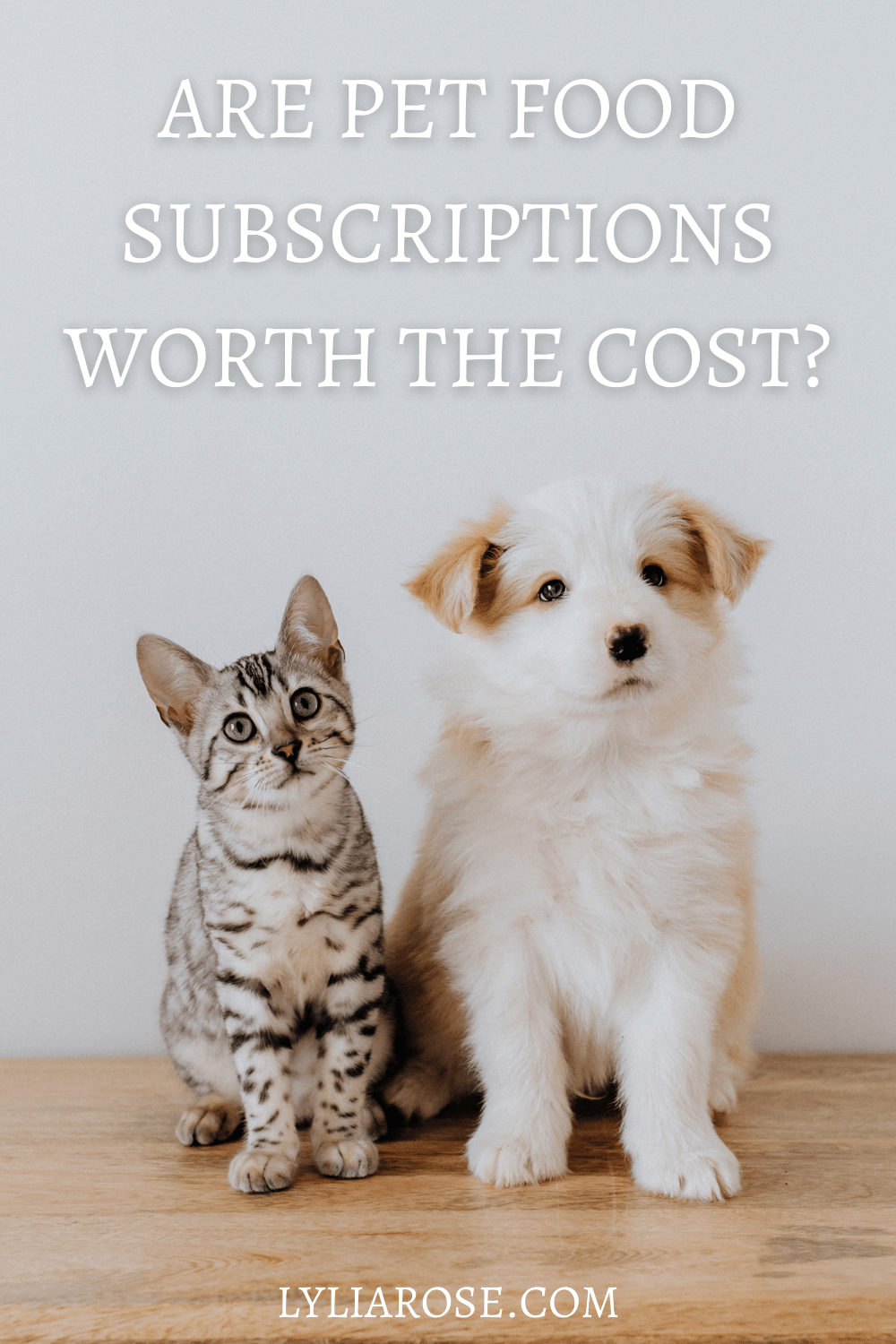 Pet food subscriptions: are they worth it?