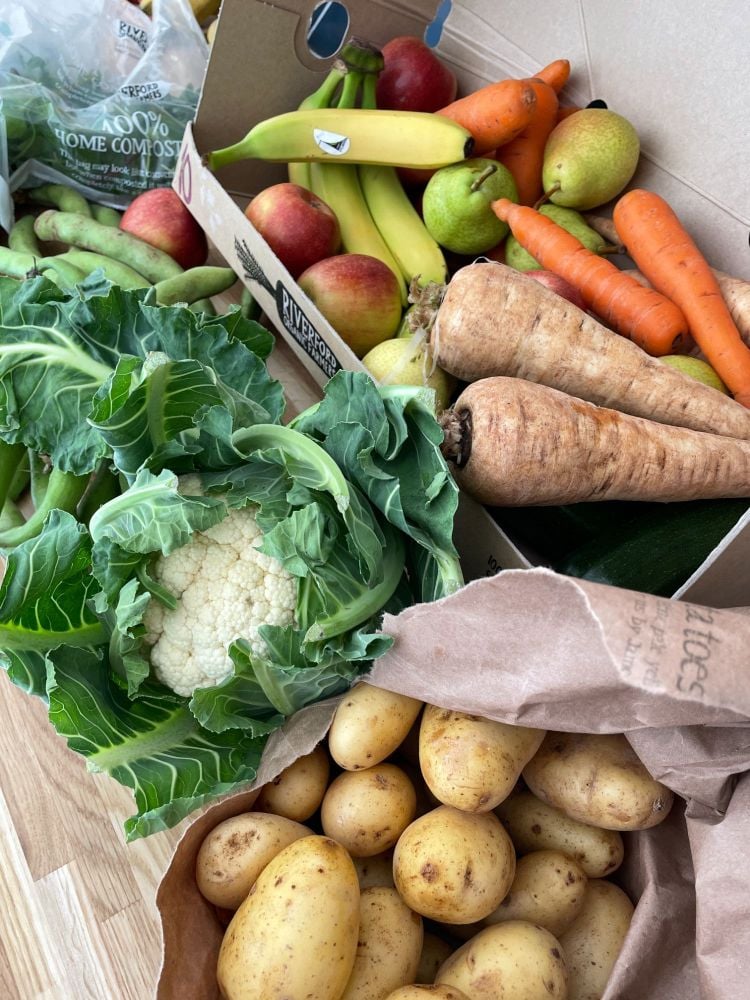 riverford veg box offer