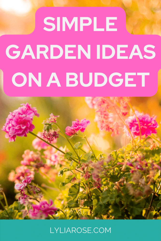 simple garden ideas on a budget