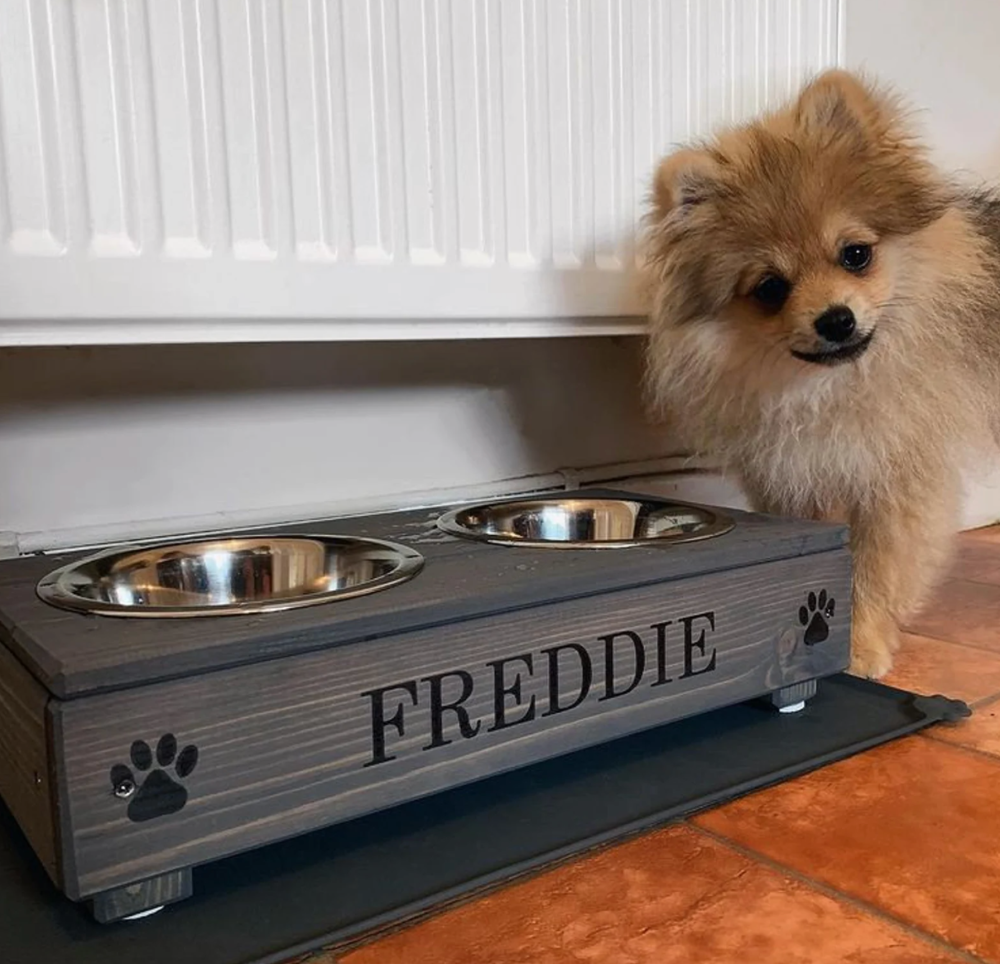 personalised pet food bowl